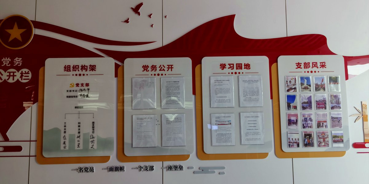 企业一楼大厅党建文化墙完工实景