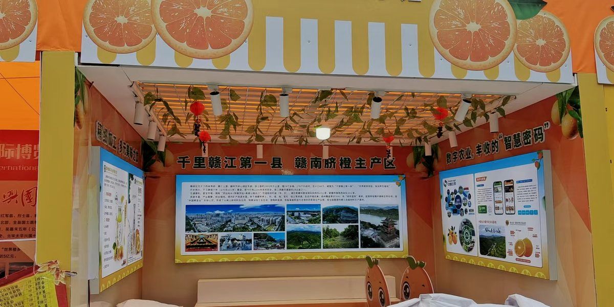 企业展厅完工实景