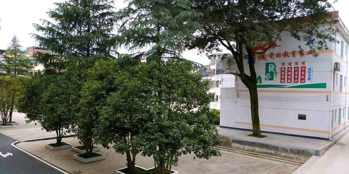 校园文化环境完工实景
